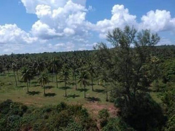 รูปที่ 1