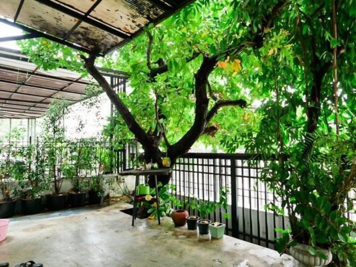 รูปที่ 2