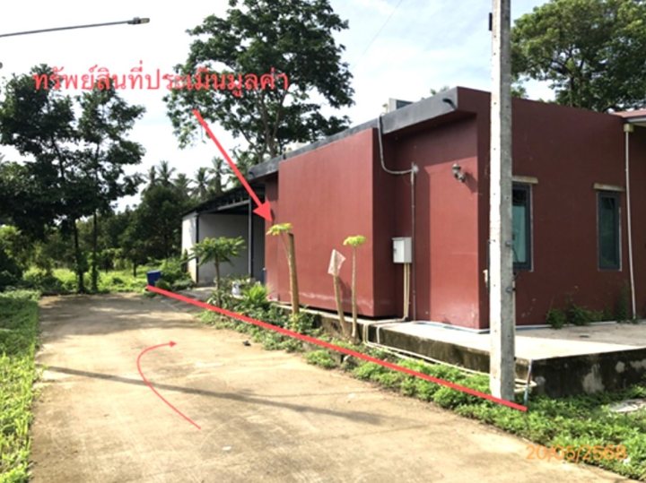 ขาย ที่ดิน สุราษฎร์ธานี อำเภอ ท่าชนะ จังหวัด สุราษฎร์ธานี