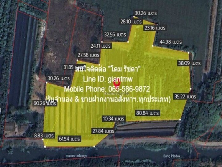 รูปที่ 2