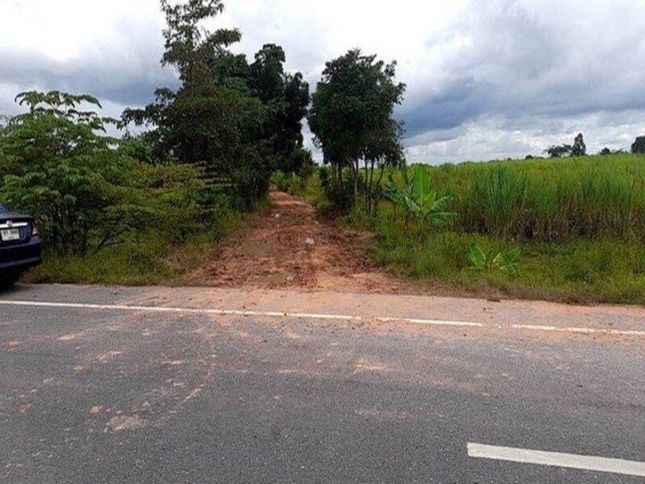 รูปที่ 2