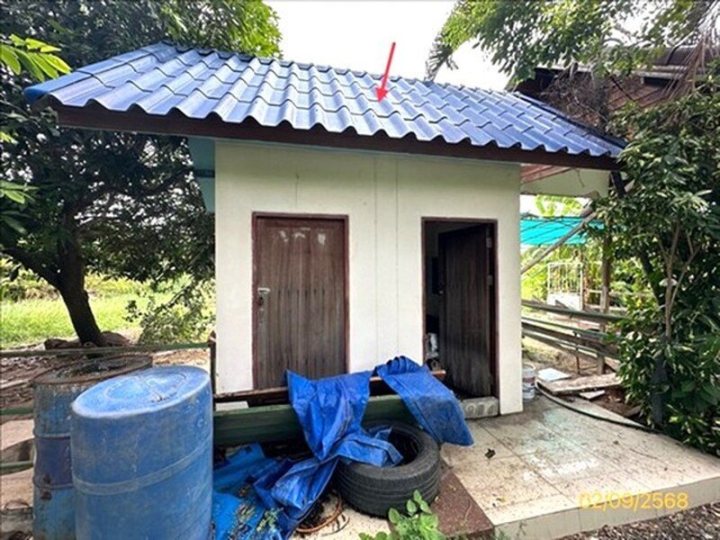 รูปที่ 2