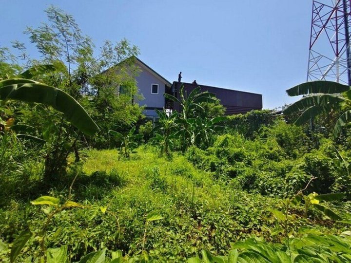 รูปที่ 2