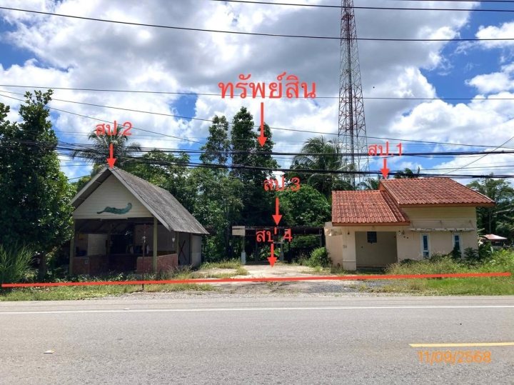 ขาย เนเชอรัล วิลล์ อำเภอ เมืองสุราษฎร์ธานี จังหวัด สุราษฎร์ธานี