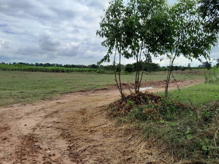 รูปที่ 2
