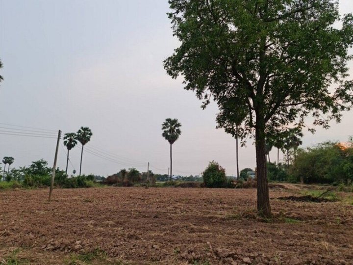 รูปที่ 2