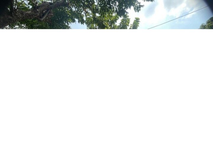 รูปที่ 2