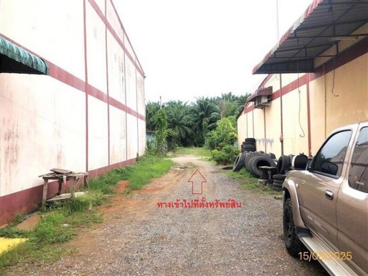 รูปที่ 1
