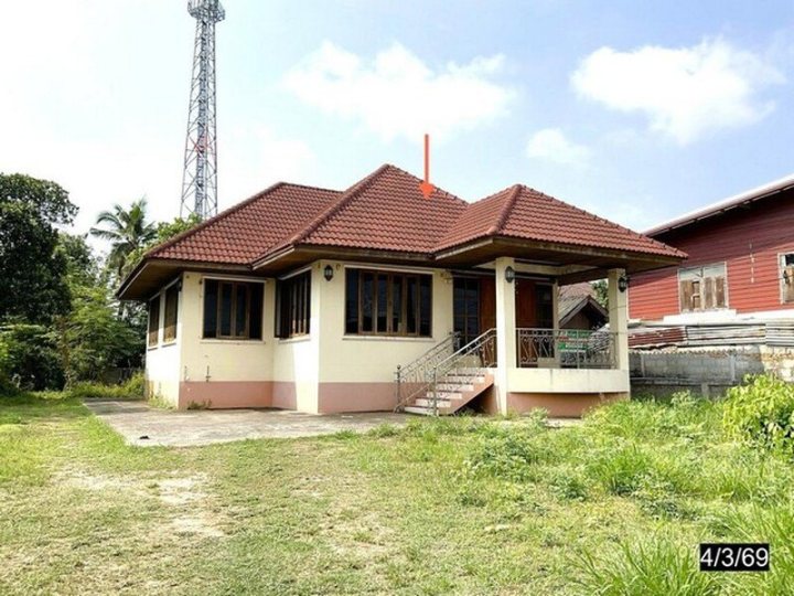 รูปที่ 2