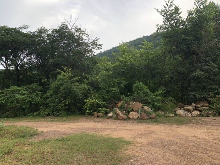 รูปที่ 5