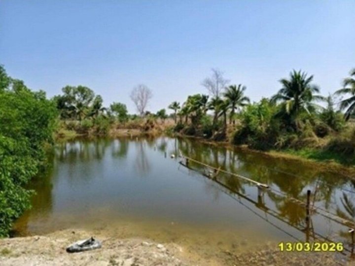 รูปที่ 2