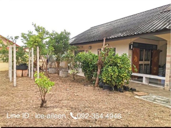 รูปที่ 1