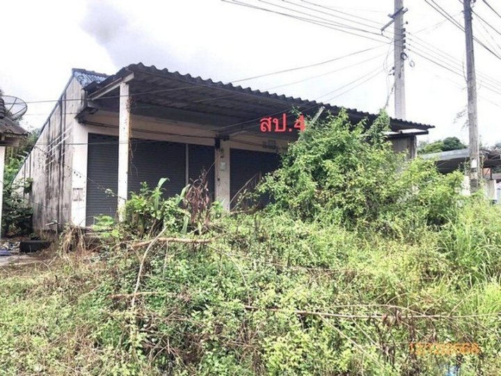 รูปที่ 2