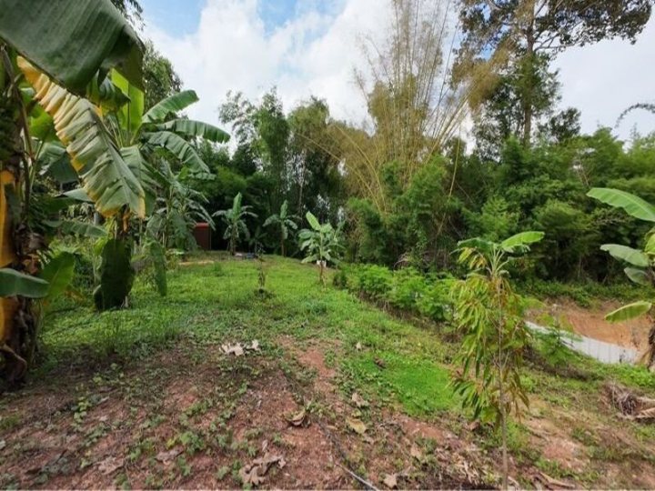 รูปที่ 2