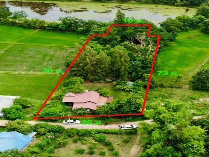 ขายบ้านสวน ในเมือง อุบลราชธานี   1 ไร่ 81.1 ตร.ว. เป็นที่ดินพร้อมสิ่งปลูกสร้าง มีบ้าน 1 หลัง และสถานที่พักผ่อน