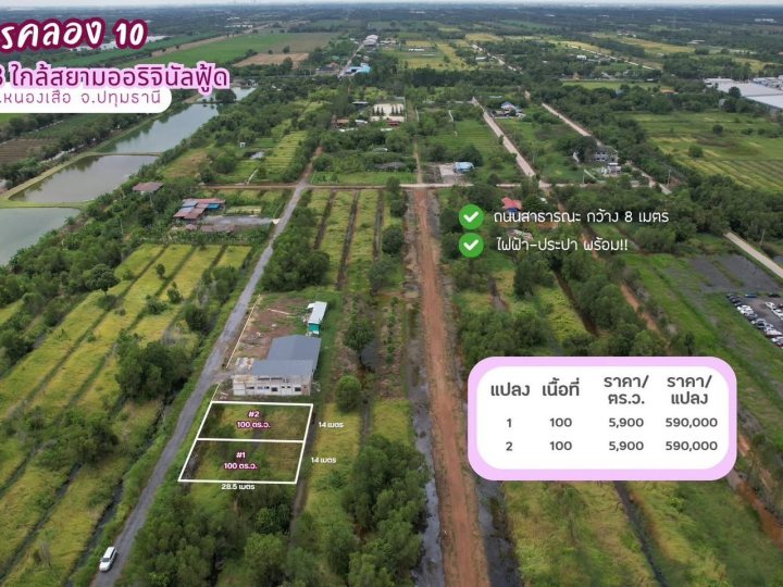 ขายที่ดินคลอง 11 ขนาดแปลงละ 100 ตารางวา อ.หนองเสือ จ.ปทุมธานี