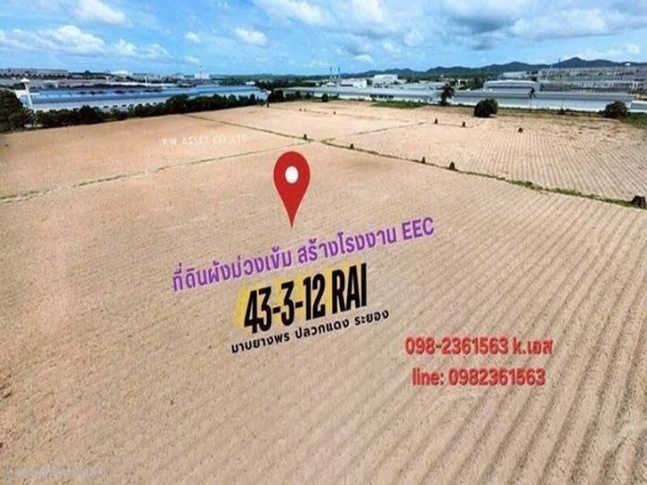 รูปที่ 1
