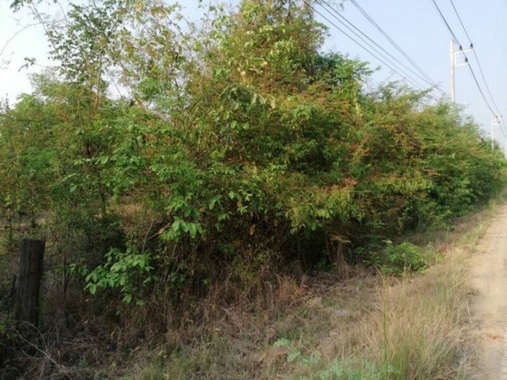 รูปที่ 1